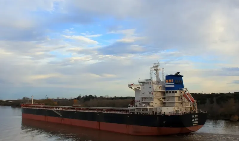 DL IVY Bulk Carrier IMO 9618678 photo 9