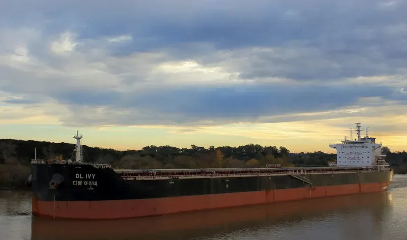 DL IVY Bulk Carrier IMO 9618678 photo 10