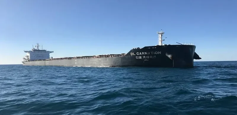 DL CARNATION Bulk Carrier IMO 9618680