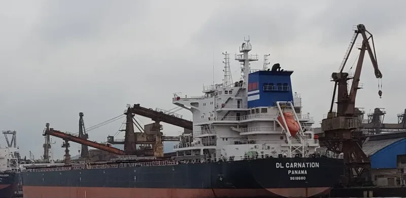 DL CARNATION Bulk Carrier IMO 9618680 photo 2