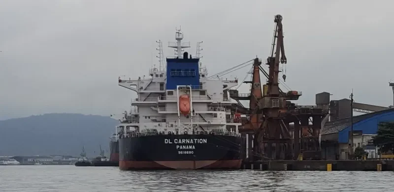 DL CARNATION Bulk Carrier IMO 9618680 photo 3