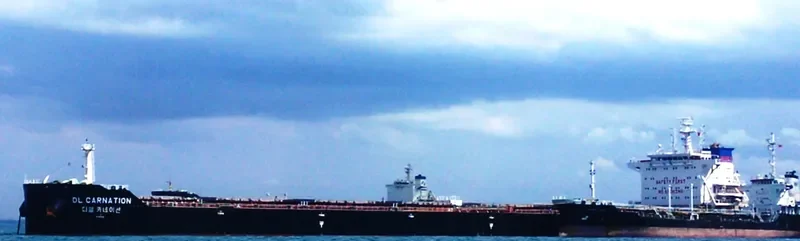DL CARNATION Bulk Carrier IMO 9618680 photo 4