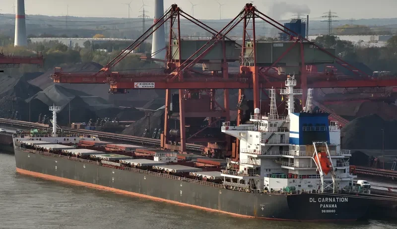 DL CARNATION Bulk Carrier IMO 9618680 photo 6