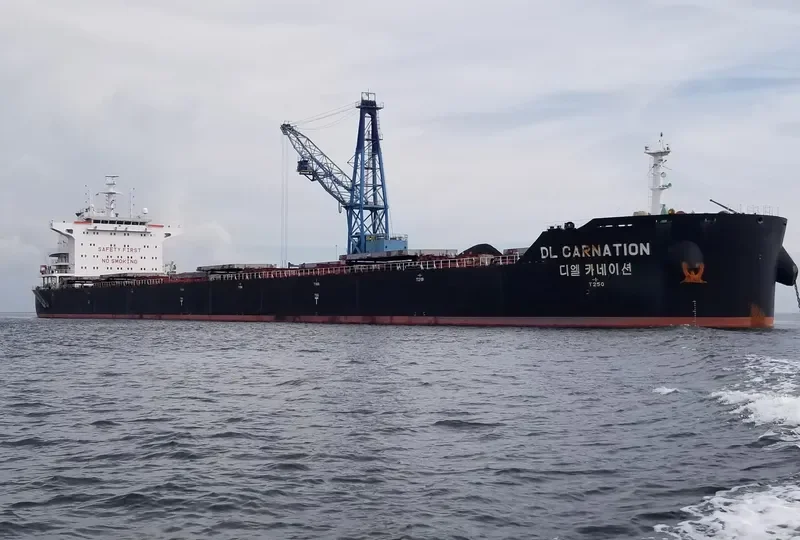 DL CARNATION Bulk Carrier IMO 9618680 photo 7