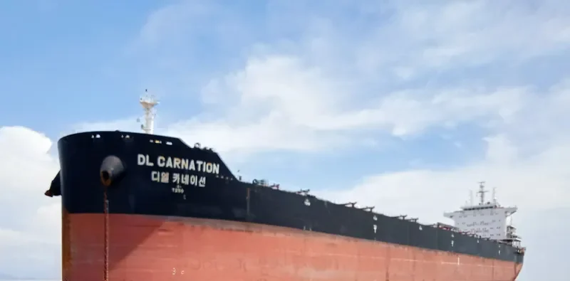 DL CARNATION Bulk Carrier IMO 9618680 photo 8