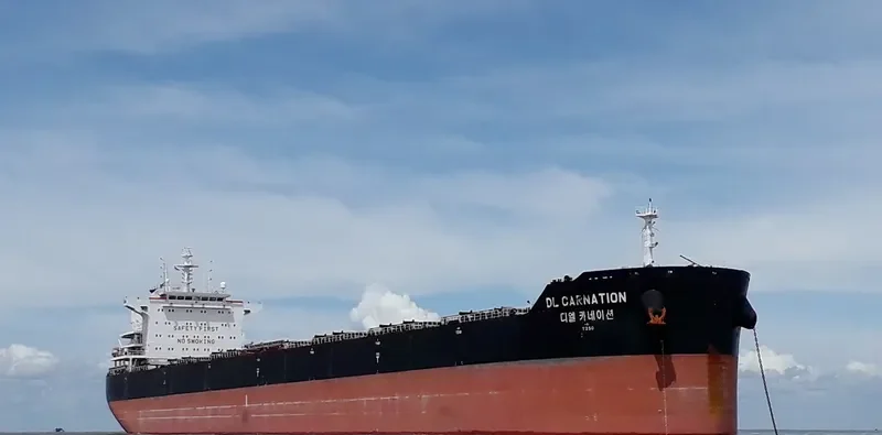 DL CARNATION Bulk Carrier IMO 9618680 photo 9