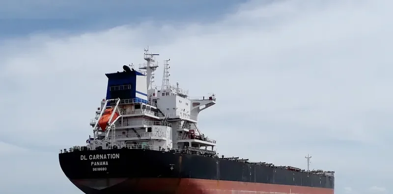 DL CARNATION Bulk Carrier IMO 9618680 photo 10