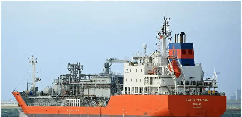 HAPPY PELICAN General Cargo IMO 9618850 photo 3
