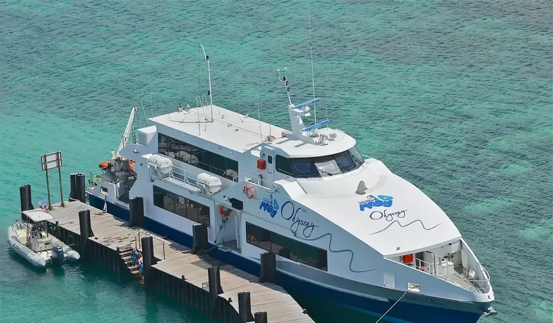 MARY D ODYSSEY General Cargo IMO 9618939