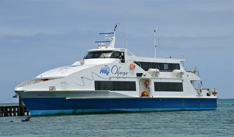 MARY D ODYSSEY General Cargo IMO 9618939 photo 2
