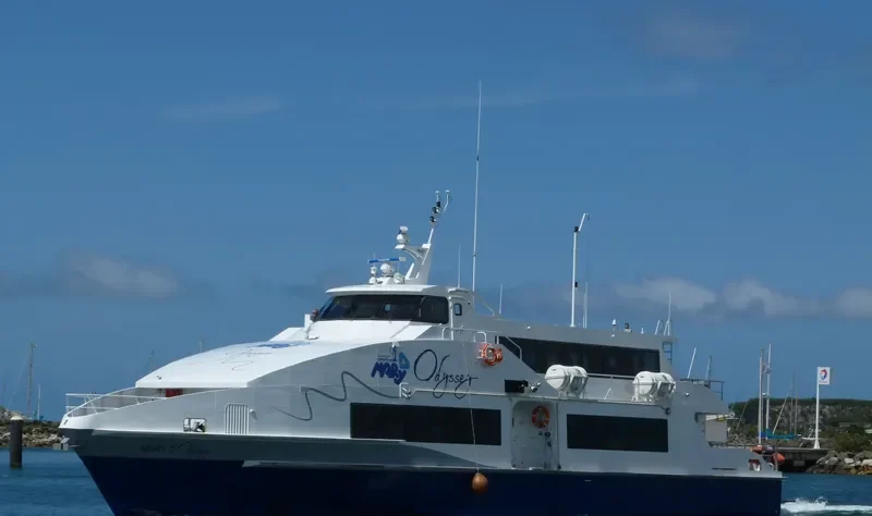 MARY D ODYSSEY General Cargo IMO 9618939 photo 4