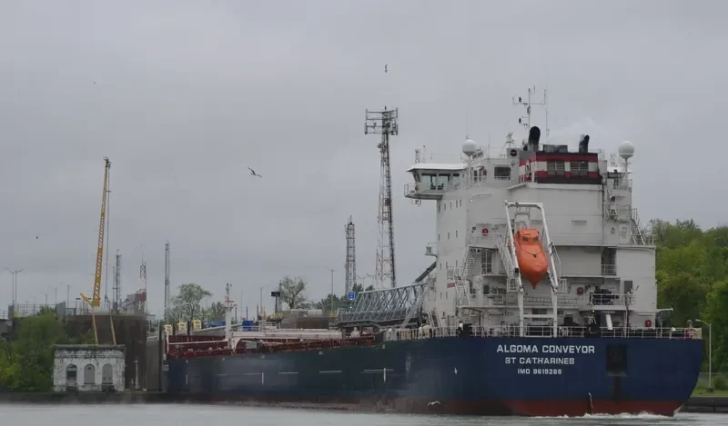 ALGOMA CONVEYOR Bulk Carrier IMO 9619268 photo 5