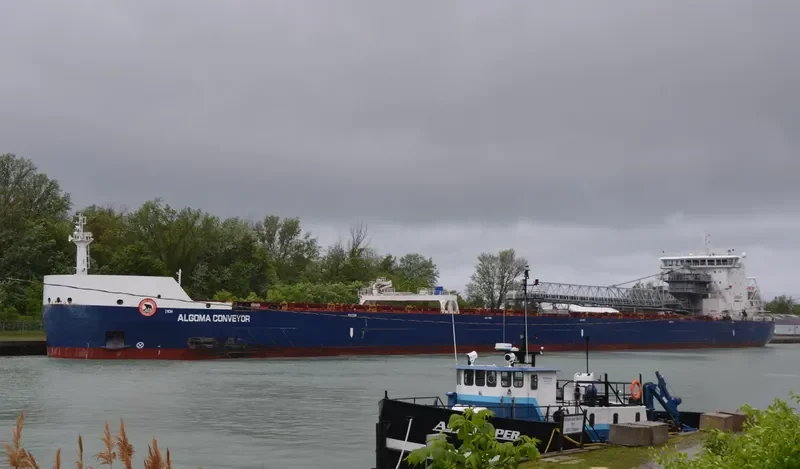 ALGOMA CONVEYOR Bulk Carrier IMO 9619268 photo 6