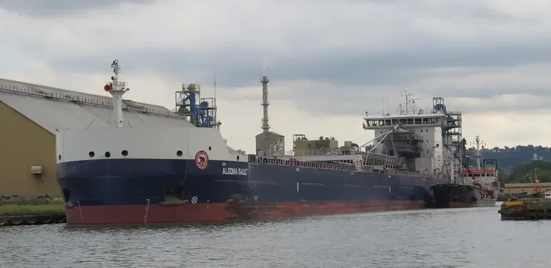 ALGOMA SAULT Bulk Carrier IMO 9619282 photo 5
