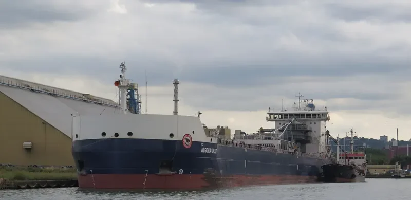 ALGOMA SAULT Bulk Carrier IMO 9619282 photo 6
