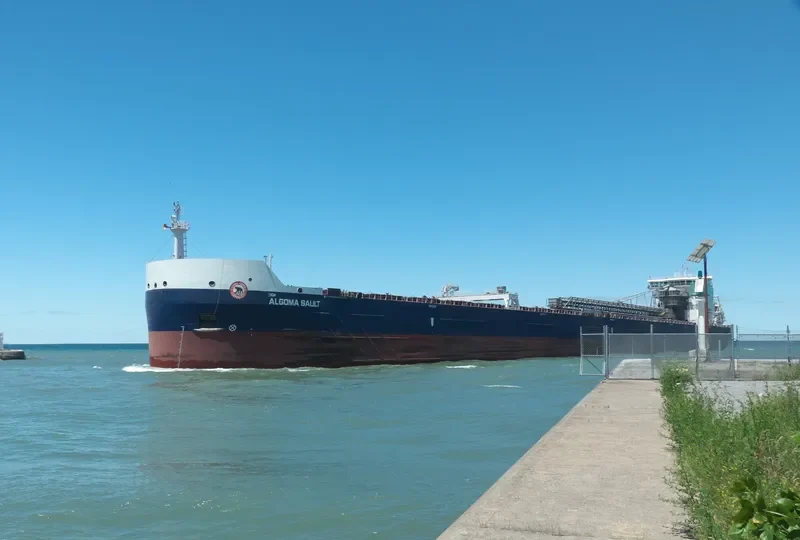 ALGOMA SAULT Bulk Carrier IMO 9619282 photo 8