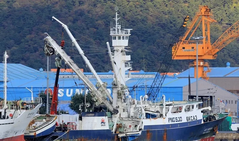 SAJO FAMILIA General Cargo IMO 9619323