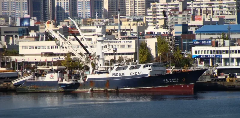 SAJO FAMILIA General Cargo IMO 9619323 photo 2