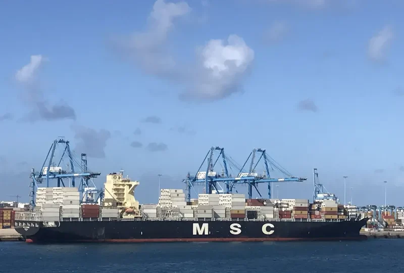 MSC ALTAMIRA Container Ship IMO 9619426