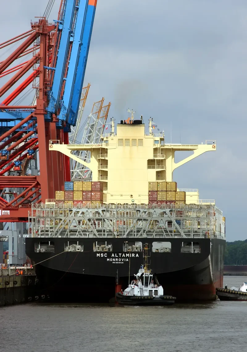 MSC ALTAMIRA Container Ship IMO 9619426 photo 8