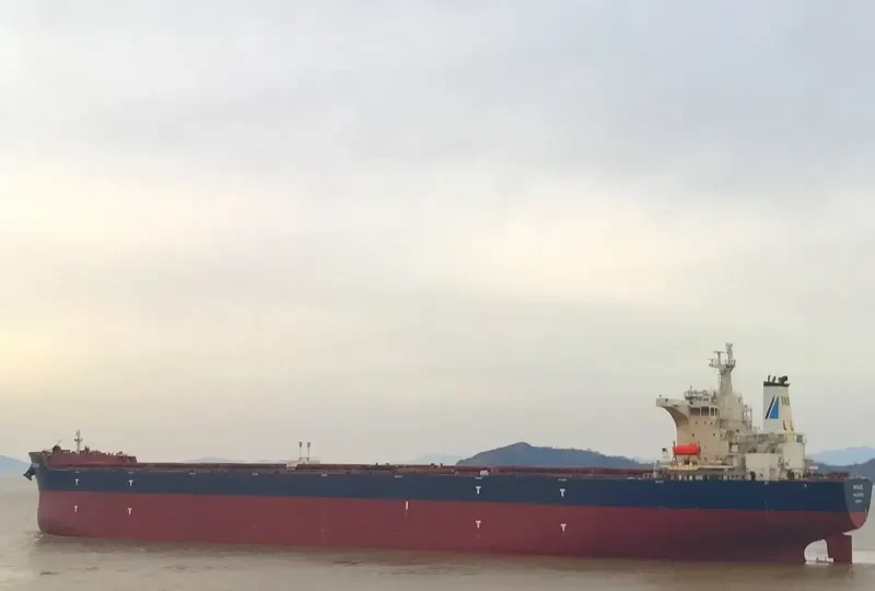 AFALES Bulk Carrier IMO 9619555