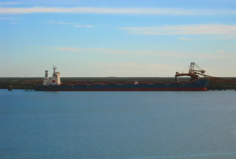 AFALES Bulk Carrier IMO 9619555 photo 2