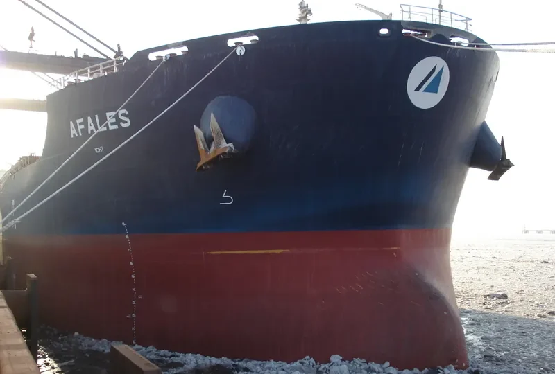 AFALES Bulk Carrier IMO 9619555 photo 3