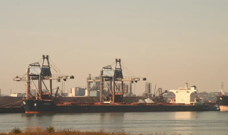 AFALES Bulk Carrier IMO 9619555 photo 6