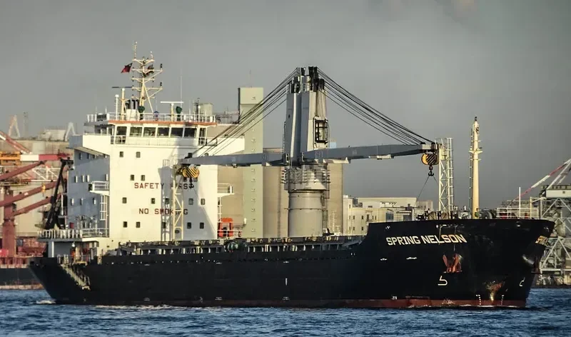 SPRING NELSON General Cargo IMO 9619567