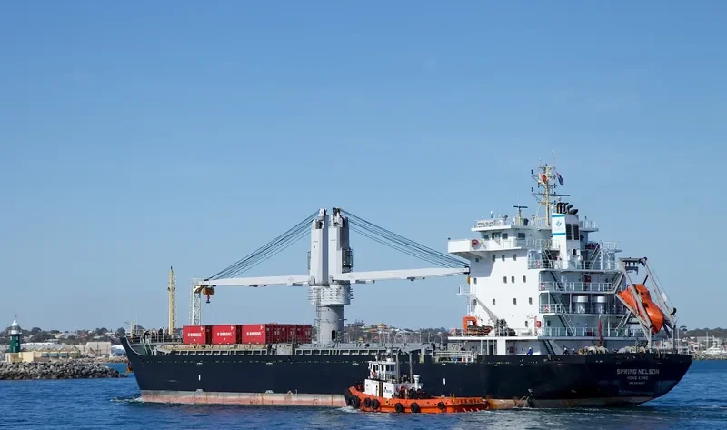 SPRING NELSON General Cargo IMO 9619567 photo 2