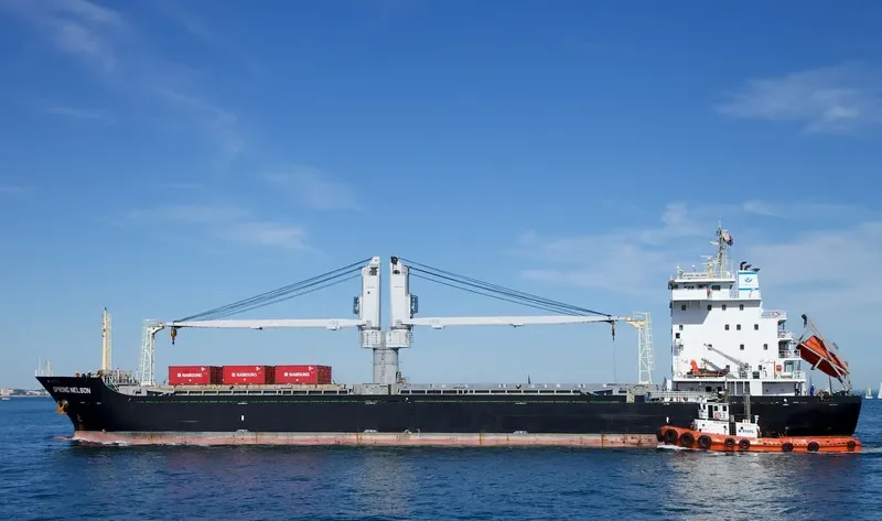 SPRING NELSON General Cargo IMO 9619567 photo 3