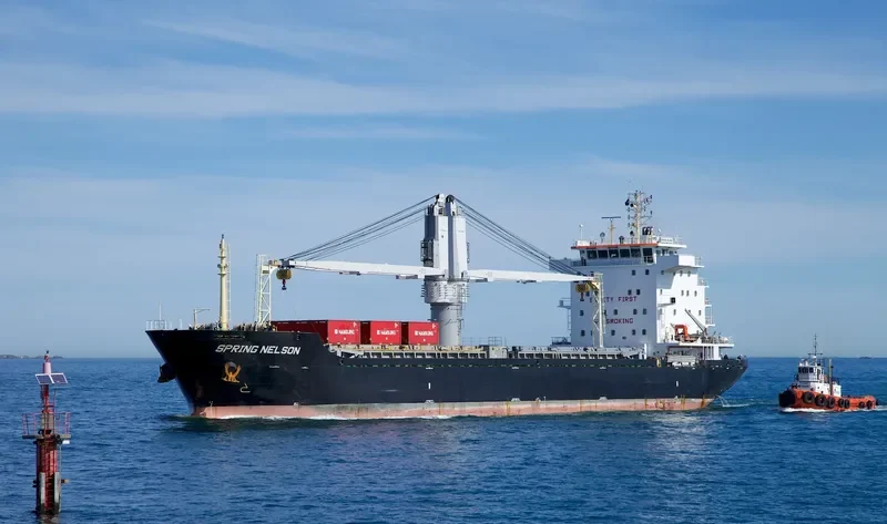 SPRING NELSON General Cargo IMO 9619567 photo 4