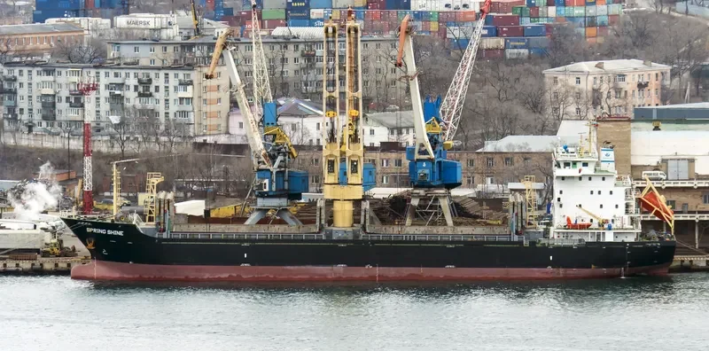 SPRING SHINE General Cargo IMO 9619579 photo 2