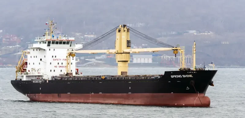 SPRING SHINE General Cargo IMO 9619579 photo 5