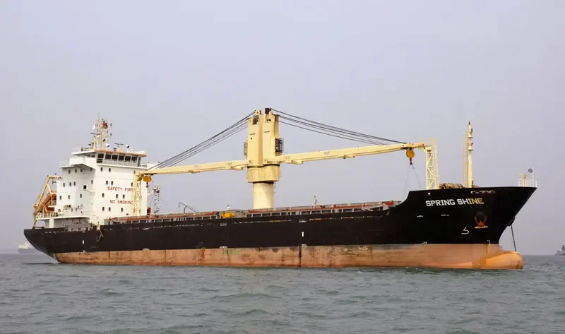 SPRING SHINE General Cargo IMO 9619579 photo 10