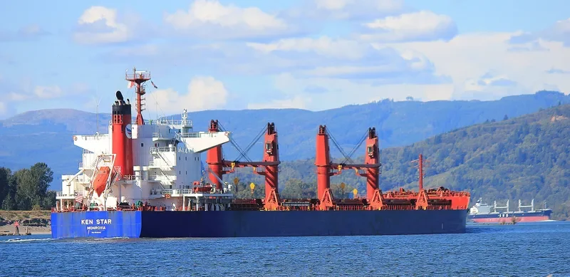 KEN STAR Bulk Carrier IMO 9619593 photo 2
