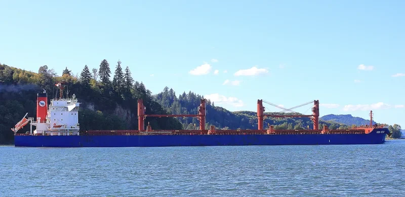 KEN STAR Bulk Carrier IMO 9619593 photo 4