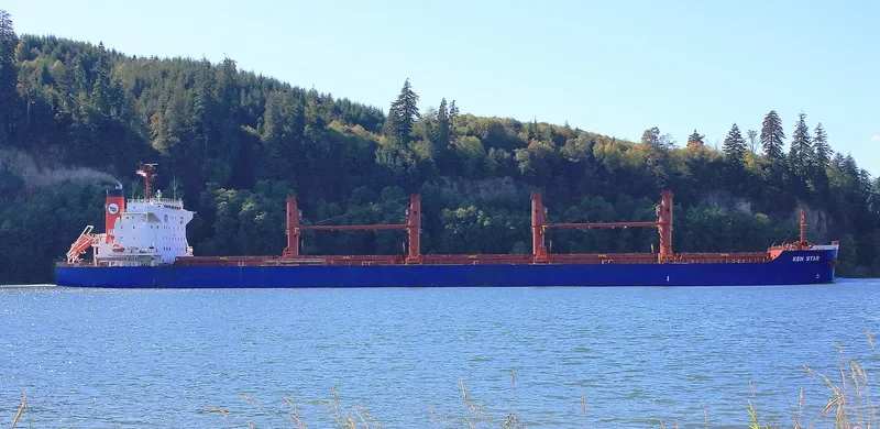 KEN STAR Bulk Carrier IMO 9619593 photo 5