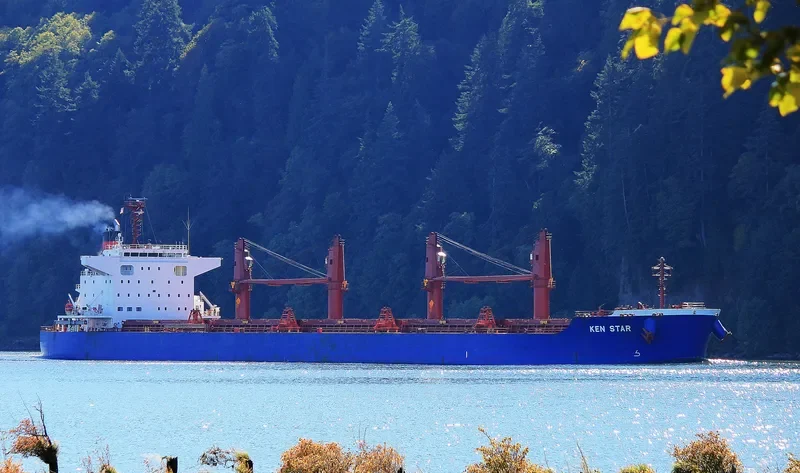 KEN STAR Bulk Carrier IMO 9619593 photo 6