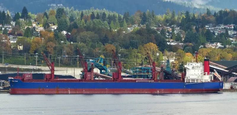 KEN STAR Bulk Carrier IMO 9619593 photo 9
