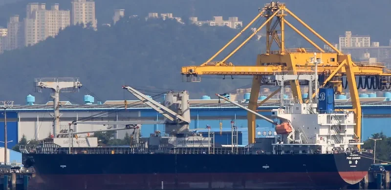 PINE LEADER General Cargo IMO 9619660