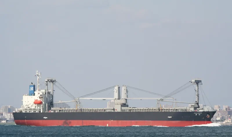 PINE LEADER General Cargo IMO 9619660 photo 8