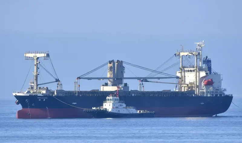 PINE LEADER General Cargo IMO 9619660 photo 9