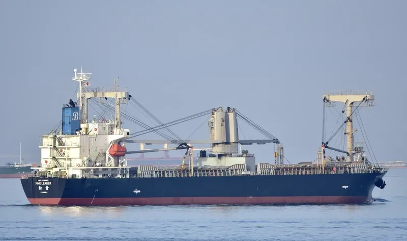 PINE LEADER General Cargo IMO 9619660 photo 10