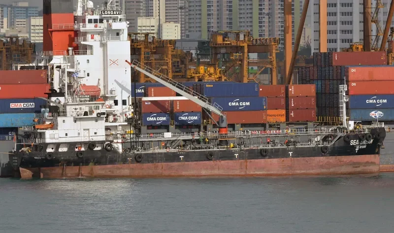 MARINE PAMELA General Cargo IMO 9619696