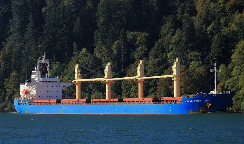 ANSAC PRIDE Bulk Carrier IMO 9619737 photo 7