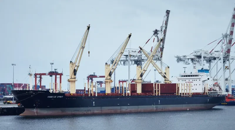 YANGTZE SPIRIT Bulk Carrier IMO 9619749