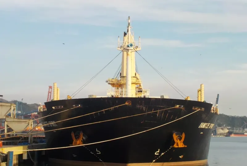 YANGTZE SPIRIT Bulk Carrier IMO 9619749 photo 4