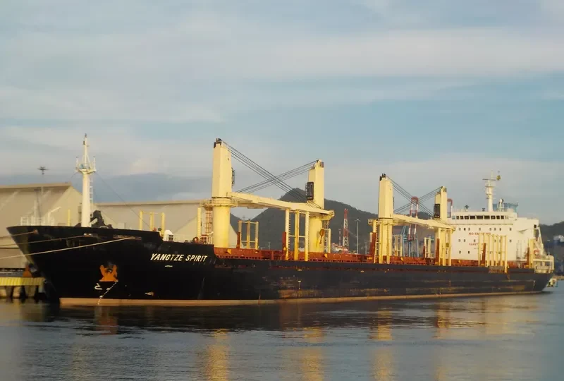 YANGTZE SPIRIT Bulk Carrier IMO 9619749 photo 5