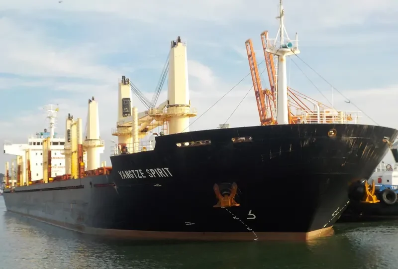 YANGTZE SPIRIT Bulk Carrier IMO 9619749 photo 6